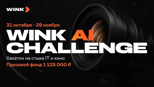Wink AI Challenge