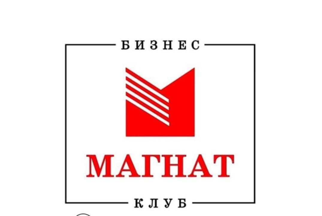 Магнат. Роман Масленников. Как стать известным за 24 часа и масштабировать бизнес ×10