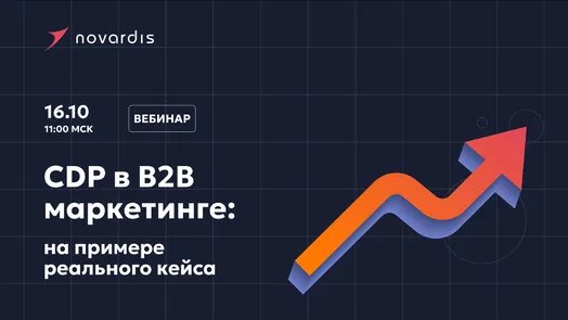 Использование CDP в B2B маркетинге: на примере реального кейса
