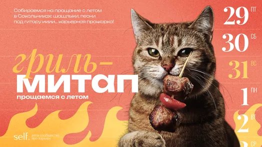 Гриль-митап "Прощаемся с летом". Офлайн-встреча с участниками сообществ self. и Moscow CSS