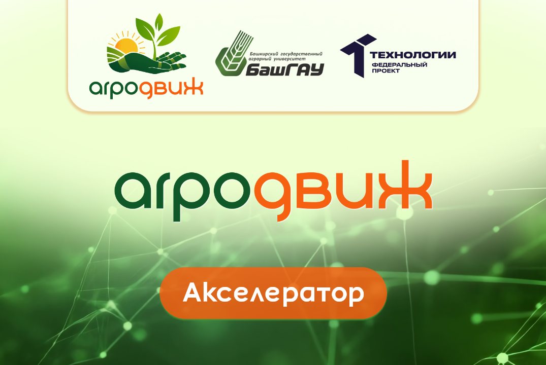 Тренинг "Каналы поиска и привлечения инвестиций в стартап"